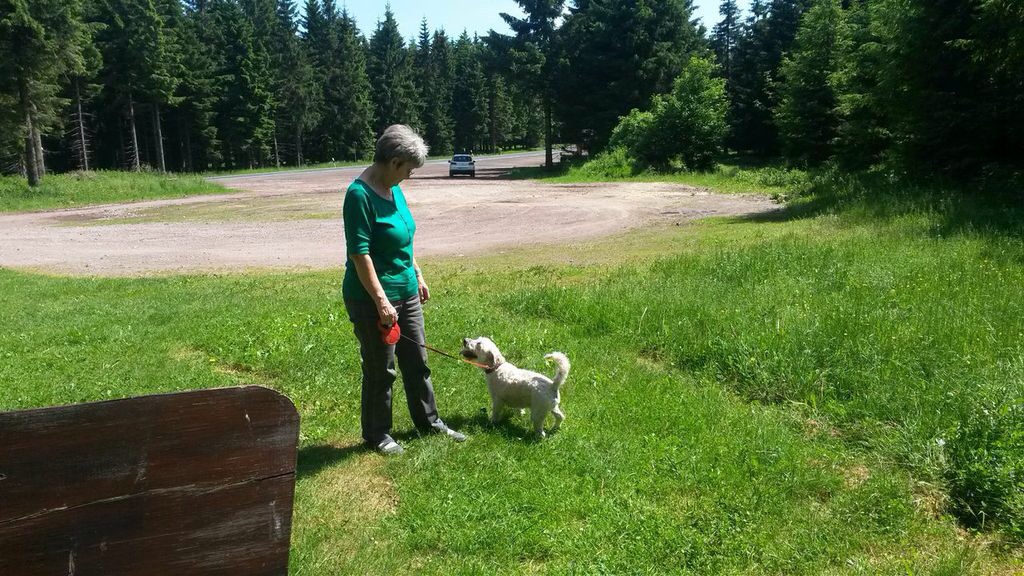 Auf dem Weg zum Rennsteig Auf dem Weg zum Rennsteig