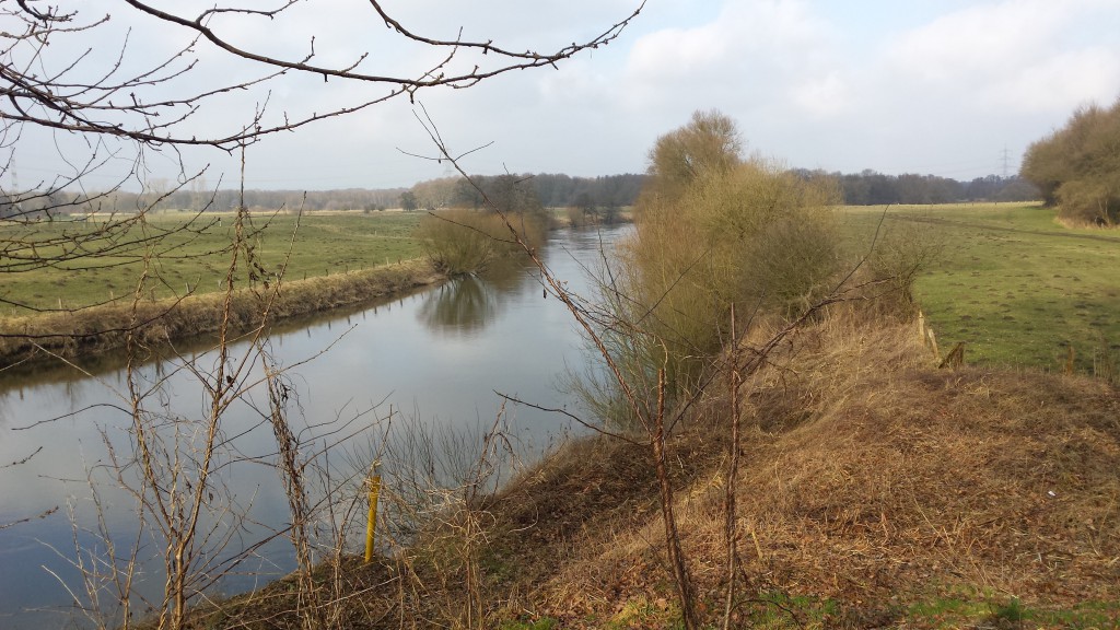 20150222_145631 Lippe im Februar