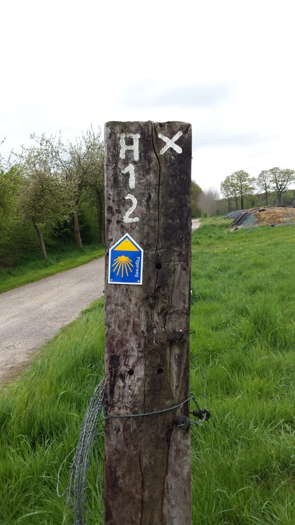 20150503_121914 Pilgerweg kurz vor Marienthal