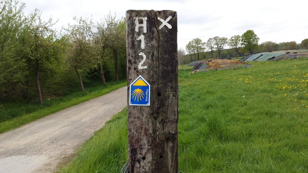 20150503_121919 kurz vor Marienthal