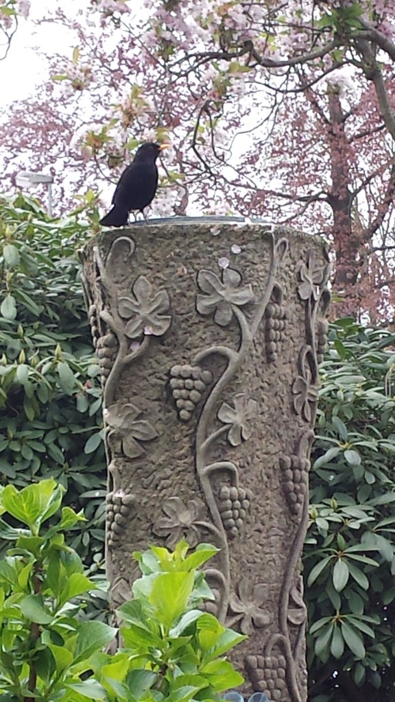 20150503_132529 Biergarten Haus Elmer, Marienthal