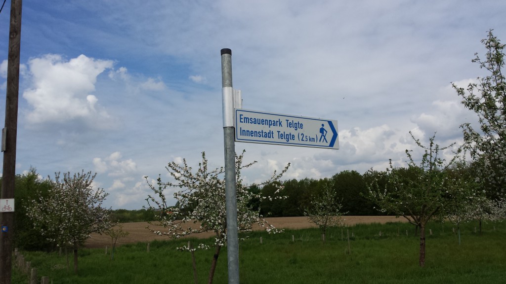 20150508_131456 Pilgerwegeröffnung Telgte