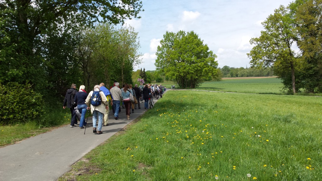 20150508_132118 Pilgerwegeröffnung Telgte