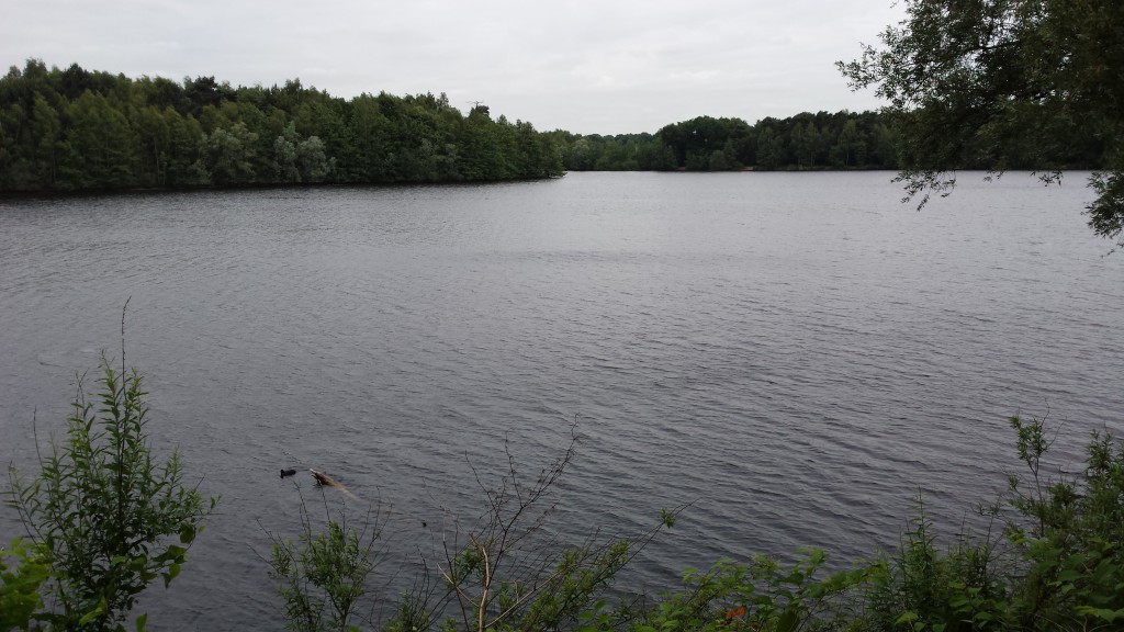 20150615_100253 Sechs-Seen-Platte